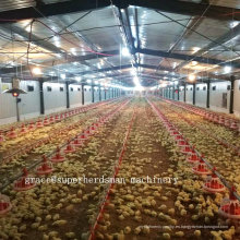 Equipo completo de aves de corral automáticas para la producción de pollos de engorde